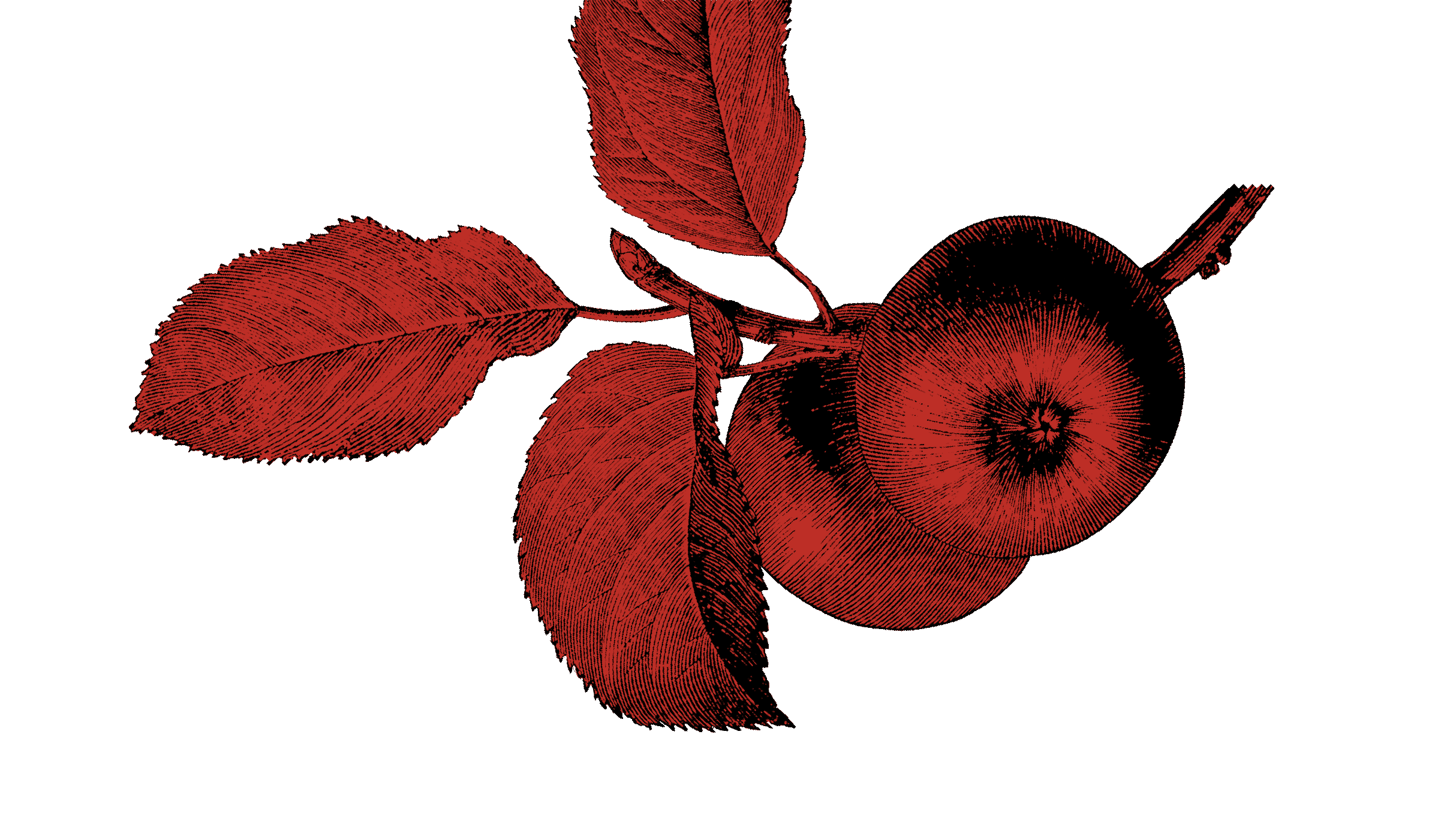 Page under construction